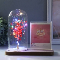 Фоторамка дерево 9х13 см с подсветкой "Красное деревце" от батареек 2хLR1130 19х9х18,5 см Фоторамка дерево 9х13 см с подсветкой "Красное деревце" от батареек 2хLR1130 19х9х18,5 см