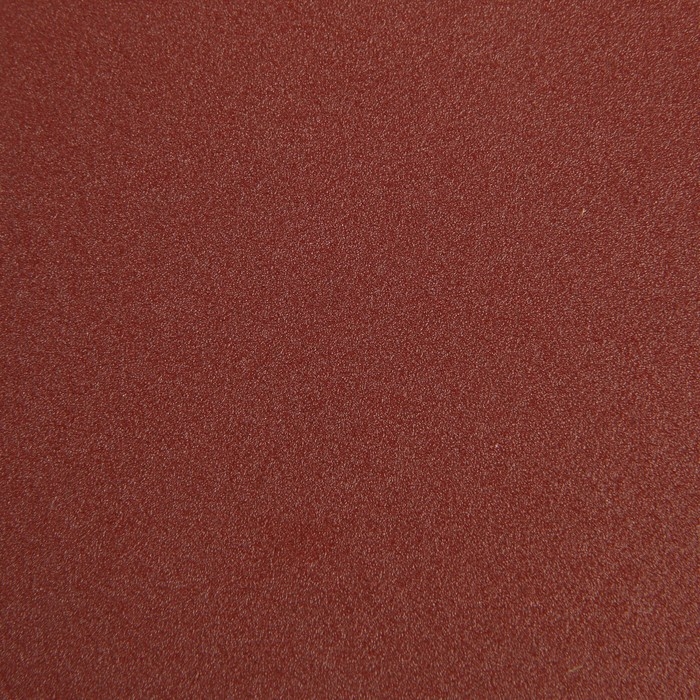 Круг абразивный шлифовальный под "липучку" ТУНДРА, 125 мм, Р240, 10 шт.