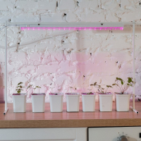 Фитосветильник светодиодный Uniel, 11 Вт, 572 мм, IP20, 220 В, мультиспектральный, с выкл. Фитосветильник светодиодный Uniel, 11 Вт, 572 мм, IP20, 220 В, мультиспектральный, с выкл.