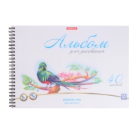 Альбом для рисования А4, 40 листов, блок 120 г/м&sup2;, на спирали, Erich Krause "Birds", пластиковая обложка, 100% белизна, перфорация на отрыв, твердая подложка