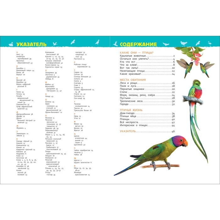 Энциклопедия для детского сада &laquo;Птицы&raquo;, Гальцева С. Н.