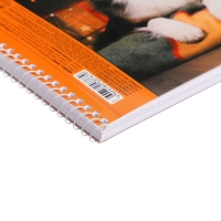 Альбом для рисования, А4 48 листов на гребне "Собакомания", перфорация на отрыв, МИКС