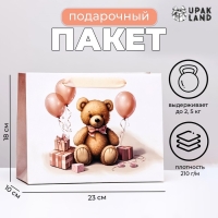 Пакет ламинированный горизонтальный "Медвежонок", 23 х 18 х 10 см