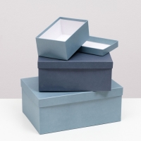 Набор коробок 10 в 1 "Барракуда" 30,5 х 20 х 13 - 12 х 6,5 х 4 см Набор коробок 10 в 1 "Барракуда" 30,5 х 20 х 13 - 12 х 6,5 х 4 см