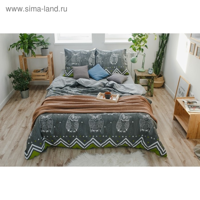 Постельное бельё "Этель" 1.5 сп Ушастые совы (вид 1) 143 х 215 см,150 х 214 см, 70 х 70 - 2 шт