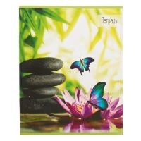 Комплект тетрадей из 5 штук (4 разные + 1 повторяющаяся), 36 листов в клетку Calligrata "Бабочки", обложка мелованная бумага, блок №2, белизна 75% (серые листы) Комплект тетрадей из 5 штук (4 разные + 1 повторяющаяся), 36 листов в клетку Calligrata "Бабочки", обложка мелованная бумага, блок №2, белизна 75% (серые листы)