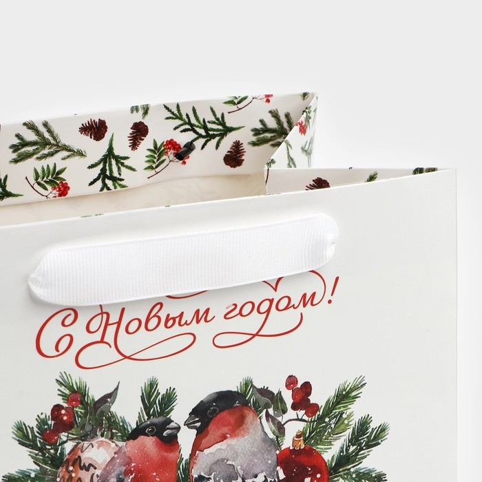 Пакет подарочный новогодний с широким дном &laquo;Снегири&raquo;, 20 х 14 х 13.2 см, Новый год