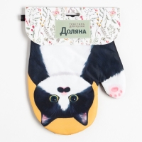 Варежка Доляна Котики "Бориска" 24*18 см, 100% п/э