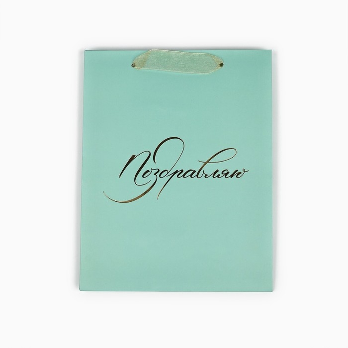 Пакет ламинированный вертикальный &laquo;Поздравляю&raquo;, MS 18 х 23 х 10 см