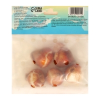 Тюльпан Пинк Ардур, р-р 11/12, 5шт, Осень 2024 Тюльпан Пинк Ардур, р-р 11/12, 5шт, Осень 2024