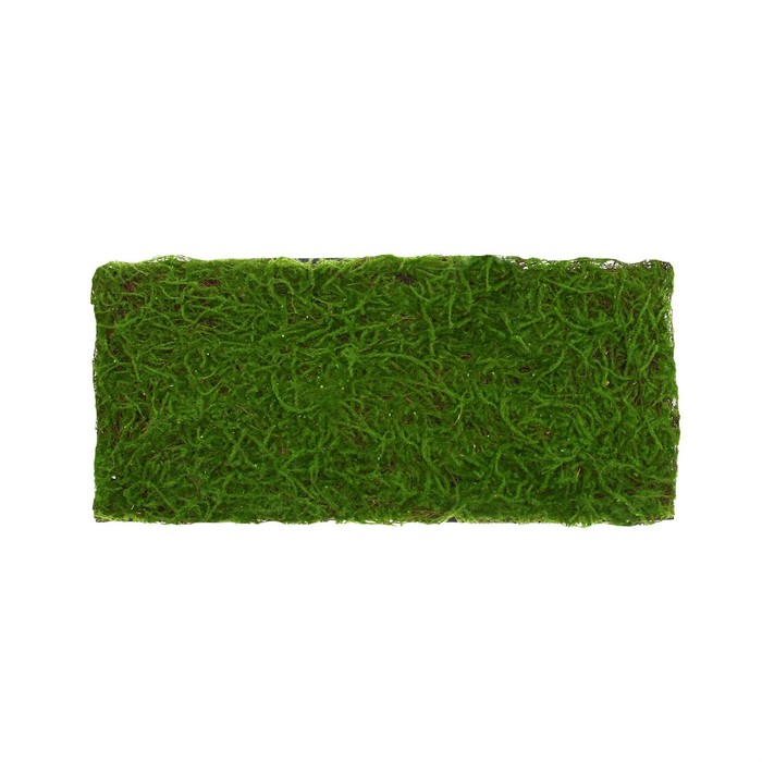 Декоративная панель, 90 × 40 см, «Мох», Greengo Декоративная панель, 90 × 40 см, «Мох», Greengo