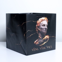 Пакет подарочный квадратный, упаковка, &laquo;Цезарь&raquo;, 30 х 30 х 30 см