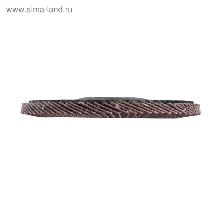 Круг лепестковый торцевой конический ТУНДРА, 115 х 22 мм, Р80 Круг лепестковый торцевой конический ТУНДРА, 115 х 22 мм, Р80