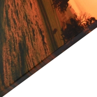 Картина "Дерево" 60*100 см