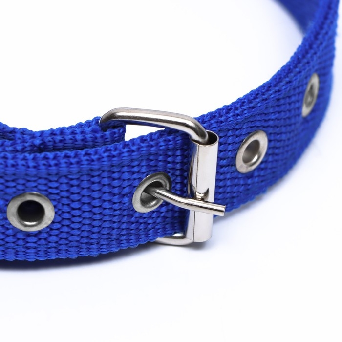 Ошейник двухслойный с вертлюгом, 55 х 2,5 см, полиэстер, синий Ошейник двухслойный с вертлюгом, 55 х 2,5 см, полиэстер, синий