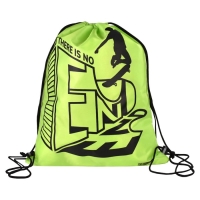 Мешок для обуви 420 х 340 мм, шелкография, Феникс "Борд без границ" зелёный 62502 Мешок для обуви 420 х 340 мм, шелкография, Феникс "Борд без границ" зелёный 62502