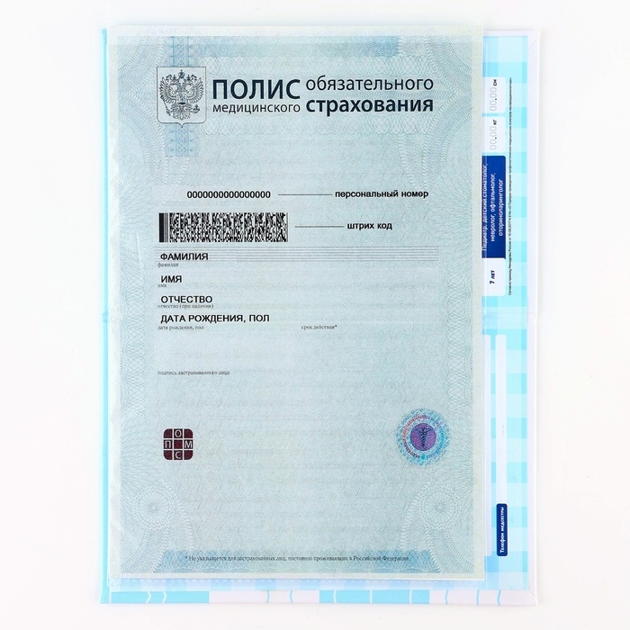 Папка для медицинского полиса &laquo;Наш котёнок&raquo;, 17,5 х 11,3 см.