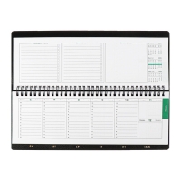 Планинг датированный 2025 года, ESCALADA, 76 листов, на гребне, интегральная обложка, искуственная кожа, тиснение фольгой, блок 70, чёрный, 310 х115мм