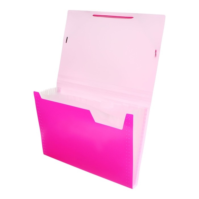 Папка картотека Calligrata Неон 13 отдел. A4 пластик 0.7мм фуксия. рез в цвет Папка картотека Calligrata Неон 13 отдел. A4 пластик 0.7мм фуксия. рез в цвет