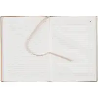 Ежедневник Anaconda, недатированный, золотистый