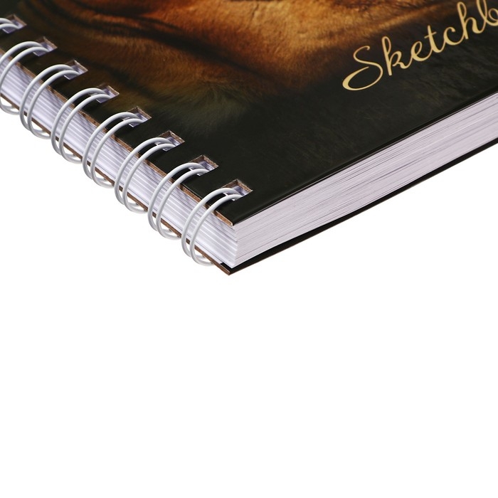 Скетчбук 195 х 195 мм, 80 листов на гребне "Тигр", твёрдая обложка, блок 100 г/м&sup2;