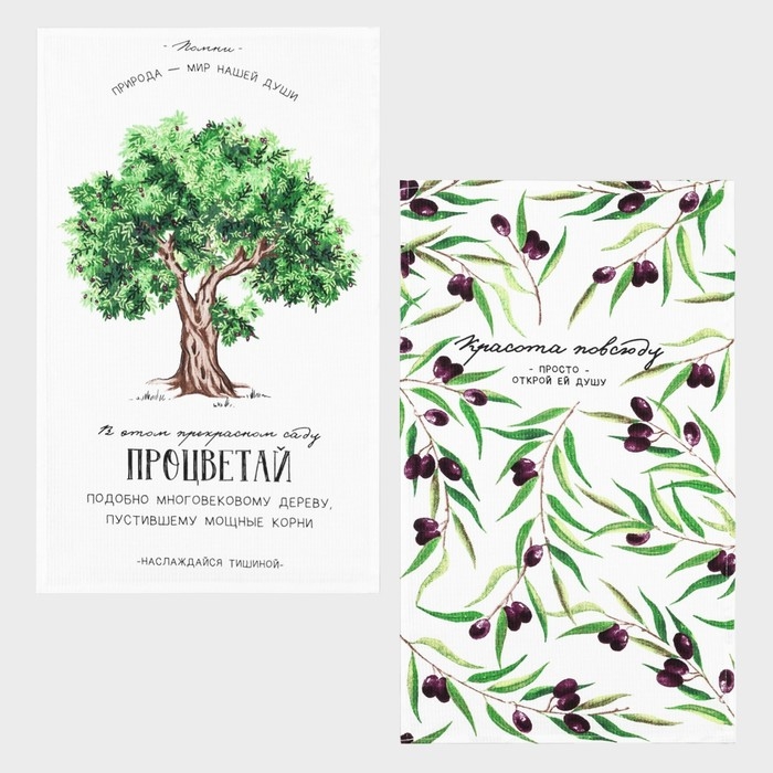 Набор кухонных полотенец Доляна &laquo;Процветай&raquo;, 35х60см-2шт, 100% хлопок