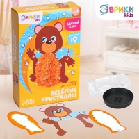 Набор для опытов «Чудесные кристаллы», мишка Набор для опытов «Чудесные кристаллы», мишка