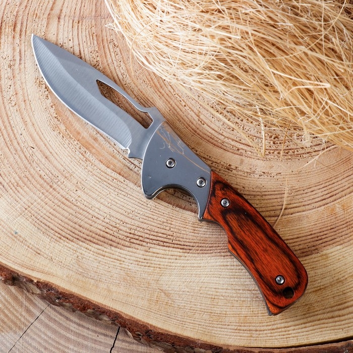 Нож складной Нож складной "Лор" 16,5см, клинок 70мм/2мм