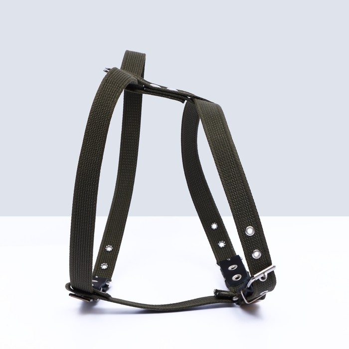 Шлейка брезентовая Шлейка брезентовая "Прогулочная", 2,5 см, ОШ 46-58 см, ОГ 78-85 см