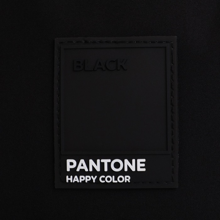 Рюкзак школьный 39х30х14 см &laquo;1 сентября: Black&raquo;