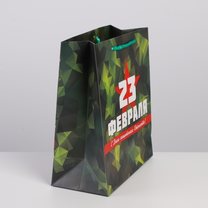 Пакет подарочный ламинированный вертикальный, упаковка, &laquo;Защитник&raquo;, ML 23 х 27 х 11.5 см