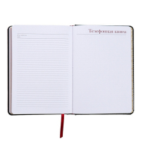 Ежедневник недатированный А5+, 136 листов Sidney Nebraska, твёрдая обложка, искусственная кожа, золотой срез, чёрный