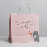 Пакет подарочный, упаковка, &laquo;Киса&raquo;, 22 х 22 х 11 см