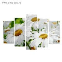 Картина модульная на подрамнике "Ромашки" 2шт-25х52; 2шт-25х67; 1шт-25х80см 80*125 см Картина модульная на подрамнике "Ромашки" 2шт-25х52; 2шт-25х67; 1шт-25х80см 80*125 см