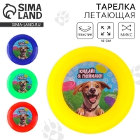 Фрисби, летающая тарелка 18см &laquo;Песик&raquo; в пакете, МИКС