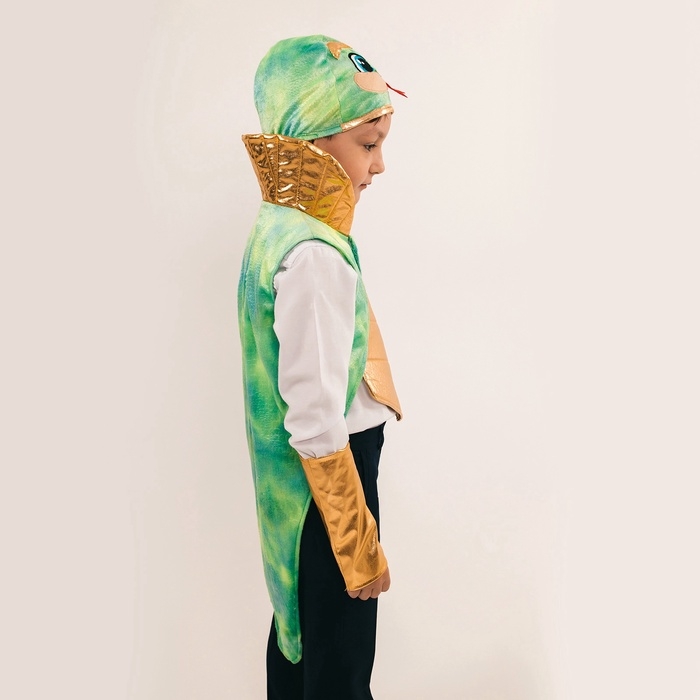 Карнавальный костюм детский &laquo;Новогодний змей&raquo;: жилетка, нагрудник, шапка, нарукавники, рост 116-128 см