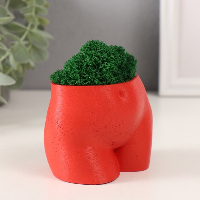 Предмет интерьера Предмет интерьера "Невинный вид" высота 7см, ширина 8,5см красный со мхом (мох зелен. стаб 1041209