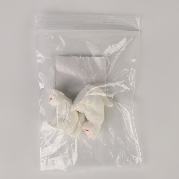 Миниатюра кукольная «Котик», набор 2 шт., размер 1 шт. — 2 × 3,5 × 3 см Миниатюра кукольная «Котик», набор 2 шт., размер 1 шт. — 2 × 3,5 × 3 см