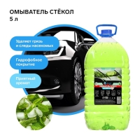 Омыватель стёкол Grand Caratt летний, Антимуха, Ментол, 5 л Омыватель стёкол Grand Caratt летний, Антимуха, Ментол, 5 л