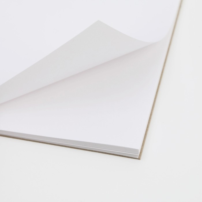 Скетчбук &laquo;Кот&raquo; А5, 40 л, 100 г/м