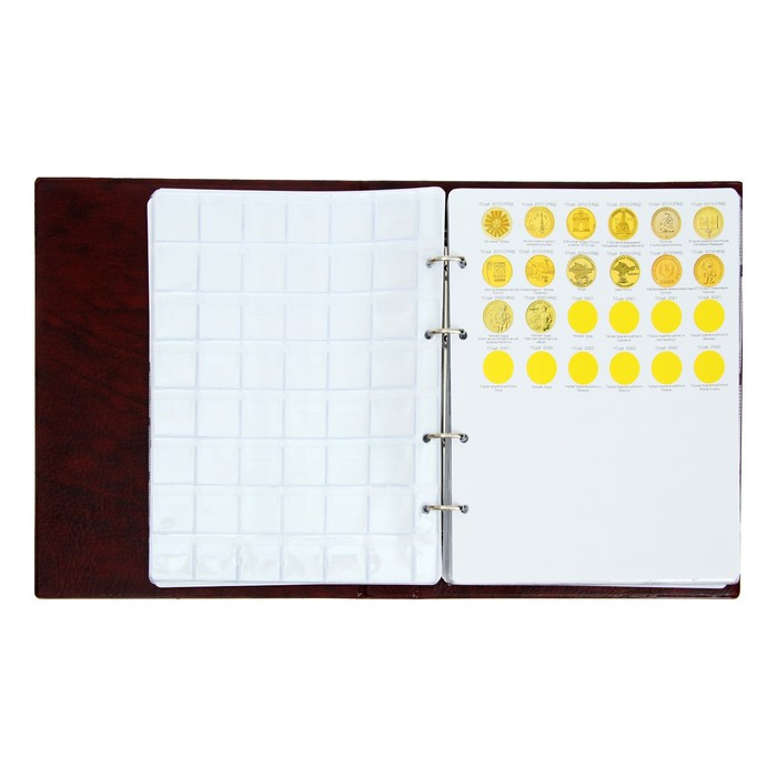 Альбом для монет на кольцах 225 х 265 мм, Альбом для монет на кольцах 225 х 265 мм, "Памятные монеты РФ", обложка искусственная кожа, 13 листов и 13 цветных картонных вставок, коричневый