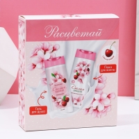 Подарочный набор косметики &laquo;Расцветай!&raquo;, гель для душа и пена для ванны, 2 х 250 мл, ЧИСТОЕ СЧАСТЬЕ