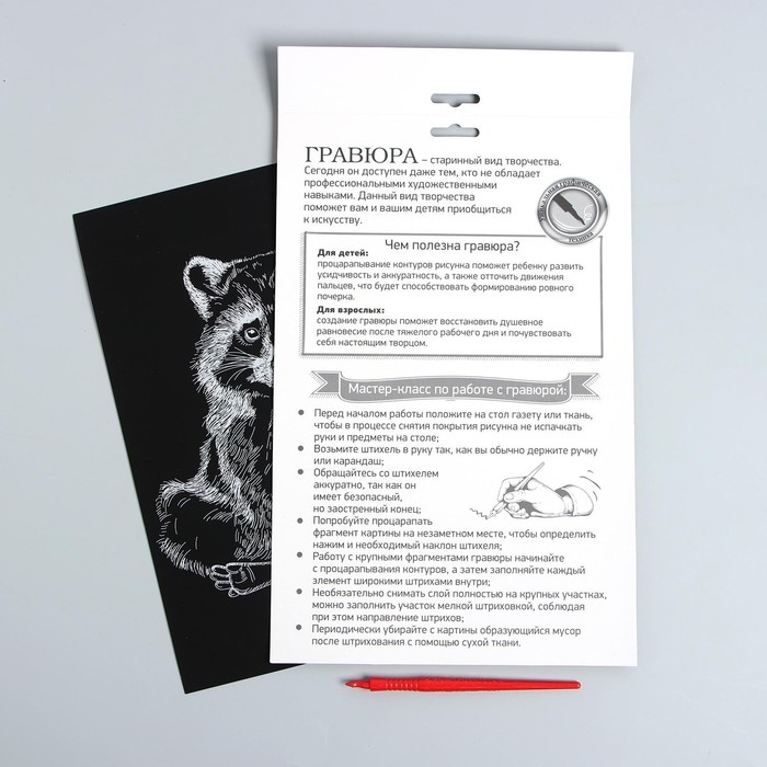 Гравюра на подложке «Енот» с металлическим эффектом «серебро» А4 Гравюра на подложке «Енот» с металлическим эффектом «серебро» А4