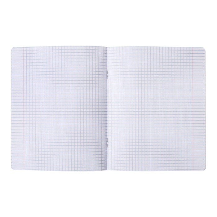 Тетрадь 48л кл Spring cat, обл мел карт, скругл угл, бл 65г/м2, МИКС Тетрадь 48л кл Spring cat, обл мел карт, скругл угл, бл 65г/м2, МИКС