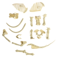 Набор для опытов &laquo;Ледниковая эпоха&raquo;, в пакете