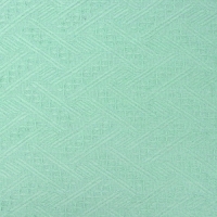 Плед Этель Home 130*180см , цв.зеленый,80%хлопок, 20% п/э Плед Этель Home 130*180см , цв.зеленый,80%хлопок, 20% п/э