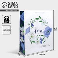 Пакет подарочный ламинированный, упаковка, &laquo;Ты чудо&raquo;, 40 х 49 х 15 см