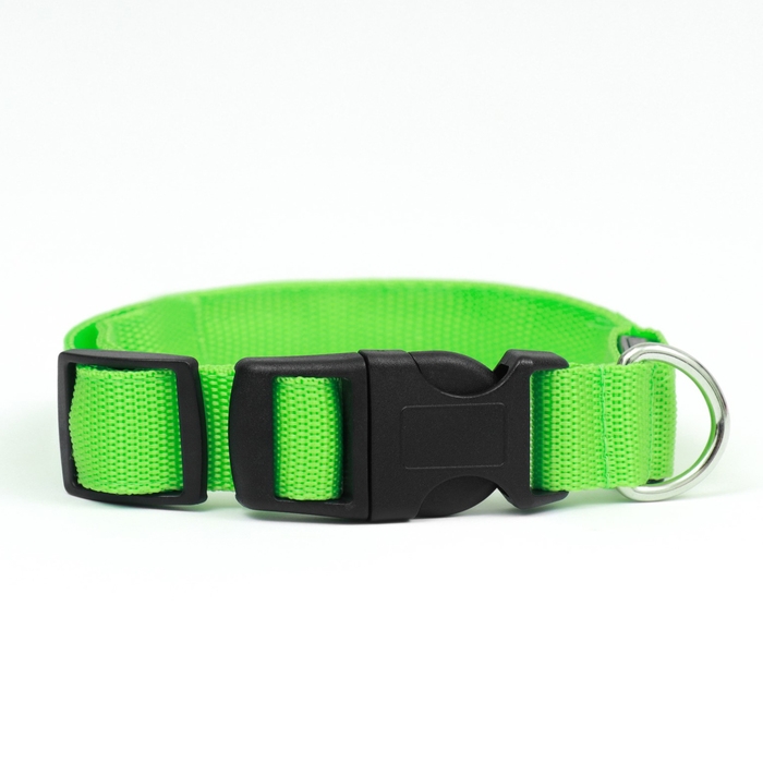 Ошейник с подсветкой Двойная полоса размер S, ОШ 35-43 х 2,5 см, 3 режима свечения зелёный Ошейник с подсветкой Двойная полоса размер S, ОШ 35-43 х 2,5 см, 3 режима свечения зелёный