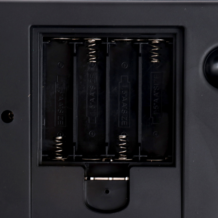 Синтезатор &laquo;Музыкант&raquo; с микрофоном, 49 клавиш, работает от сети и от батареек