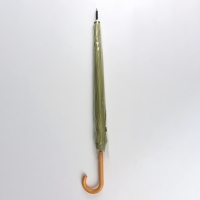 Зонт - трость полуавтоматический «Пастель», 16 спиц, R = 52/60 см, D = 120 см, цвет зелёный Зонт - трость полуавтоматический «Пастель», 16 спиц, R = 52/60 см, D = 120 см, цвет зелёный